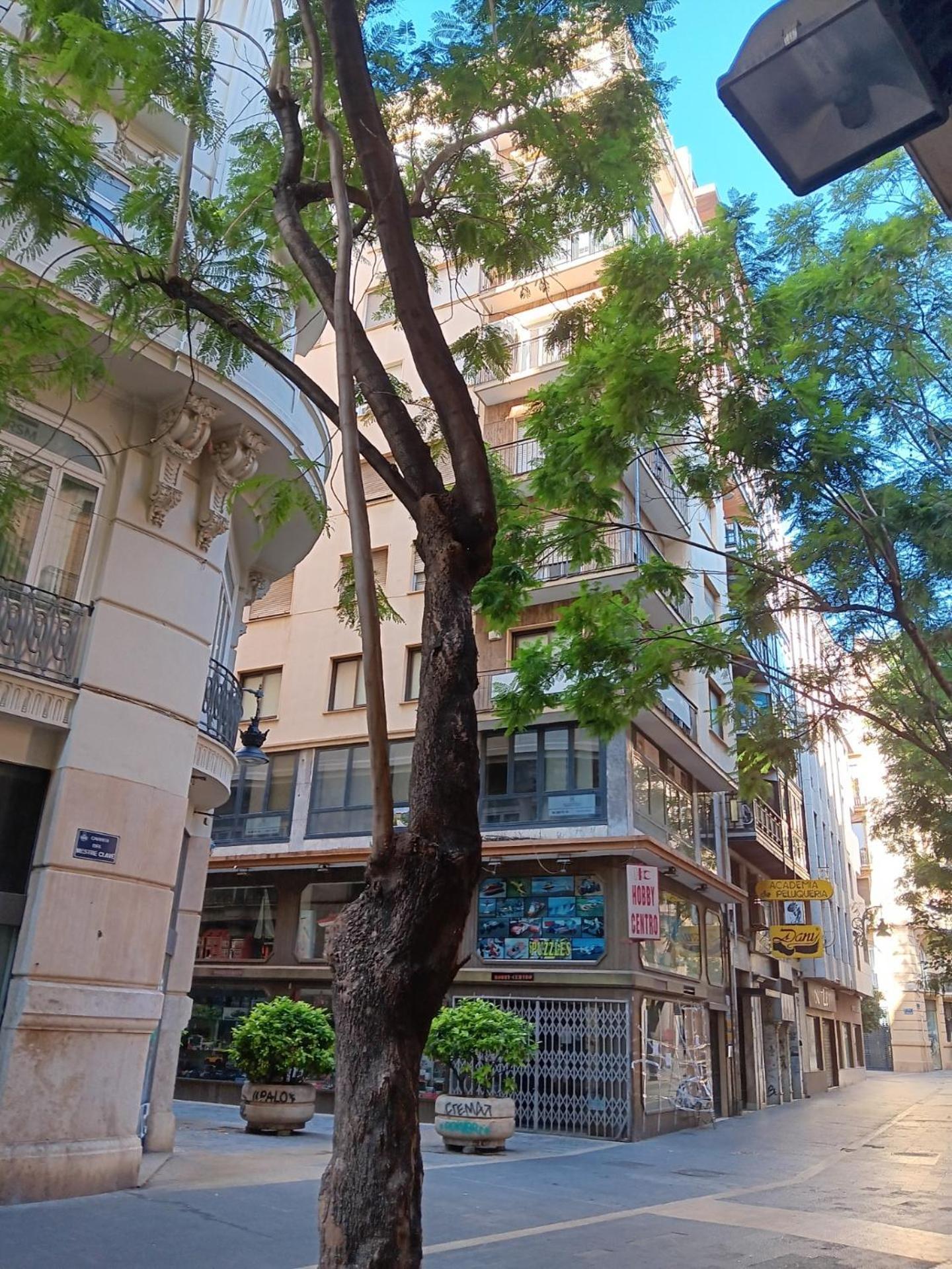 Apartamento Familiar Centro Historico Plaza Ayuntamiento "Ciutat Vella" فالنسيا المظهر الخارجي الصورة